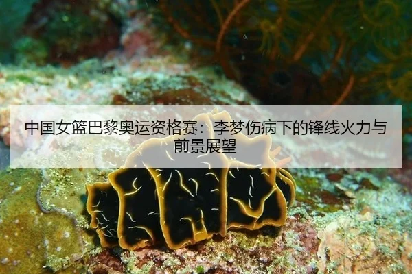 zhong-guo-nv-lan-ba-li-ao-yun-zi-ge-sai-li-meng-shang-bing-xia-de-feng-xian-huo-li-yu-qian-jing-zhan-wang-3-682.jpg