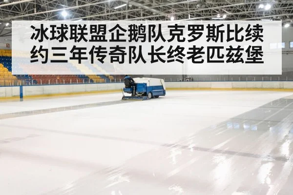 ice hockey arena